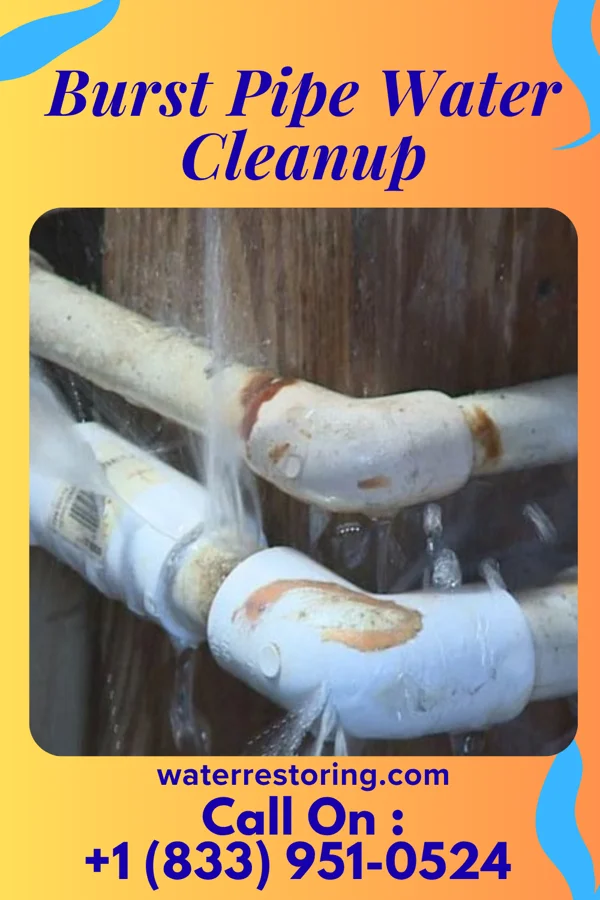 Burst Pipe Water Cleanup in Escondido, CA