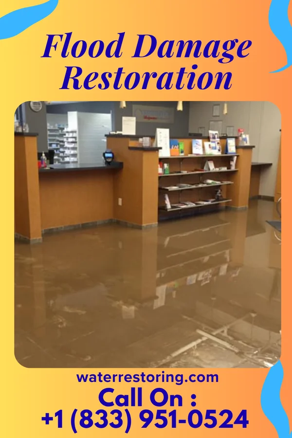 Flood Damage Restoration in Escondido, CA